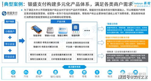 存量博弈 垂直深耕,支付行业步入 深水区